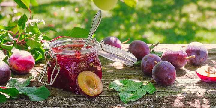 pflaumenmarmelade selber einkochen pflaumen pfluecken im garten 1000x500